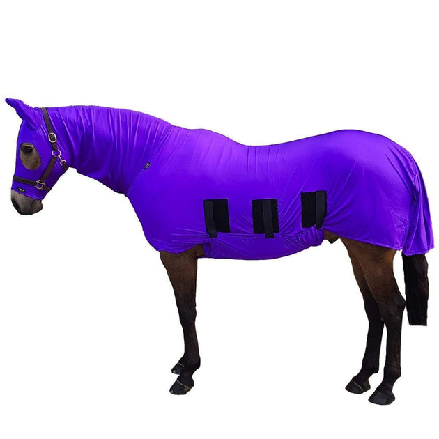 The Best Stable Horse Rugs How To Choose The Right Rug For Your Horse