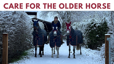 Care for the Older Horse