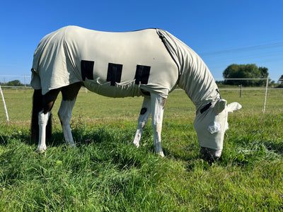 The Best Fly Rugs For Horses: Stop Fly Bites In Horse