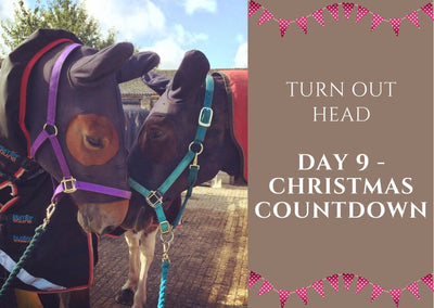 🌟 DAY 9 - Christmas Count Down - Turn Out Head