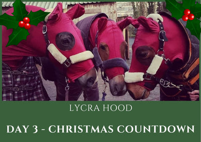 🌟 DAY 3 - Christmas Countdown - Lycra Hood