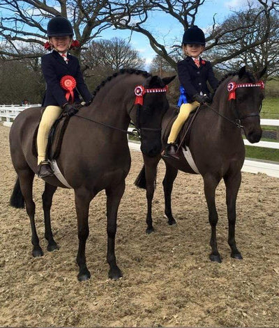 Snuggy Sooty & Janey Bring Home The Ribbons From Their Debut Outing
