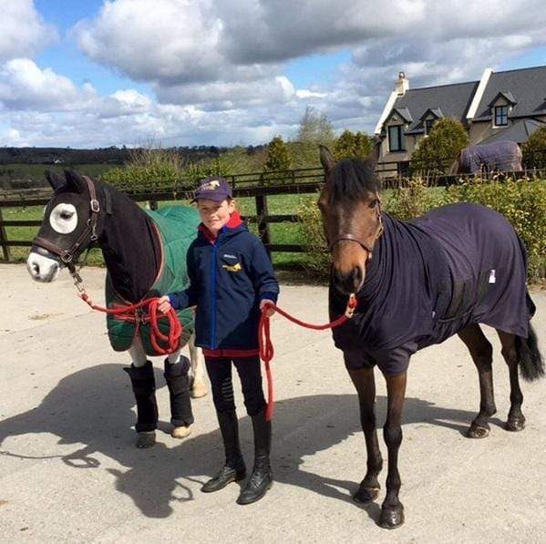 Best Horse Hood for Winter Mane Protection Snuggy Hoods Ltd