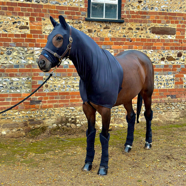 Lycra Horse & Pony Hood Snuggy Hoods Snuggy Hoods Ltd