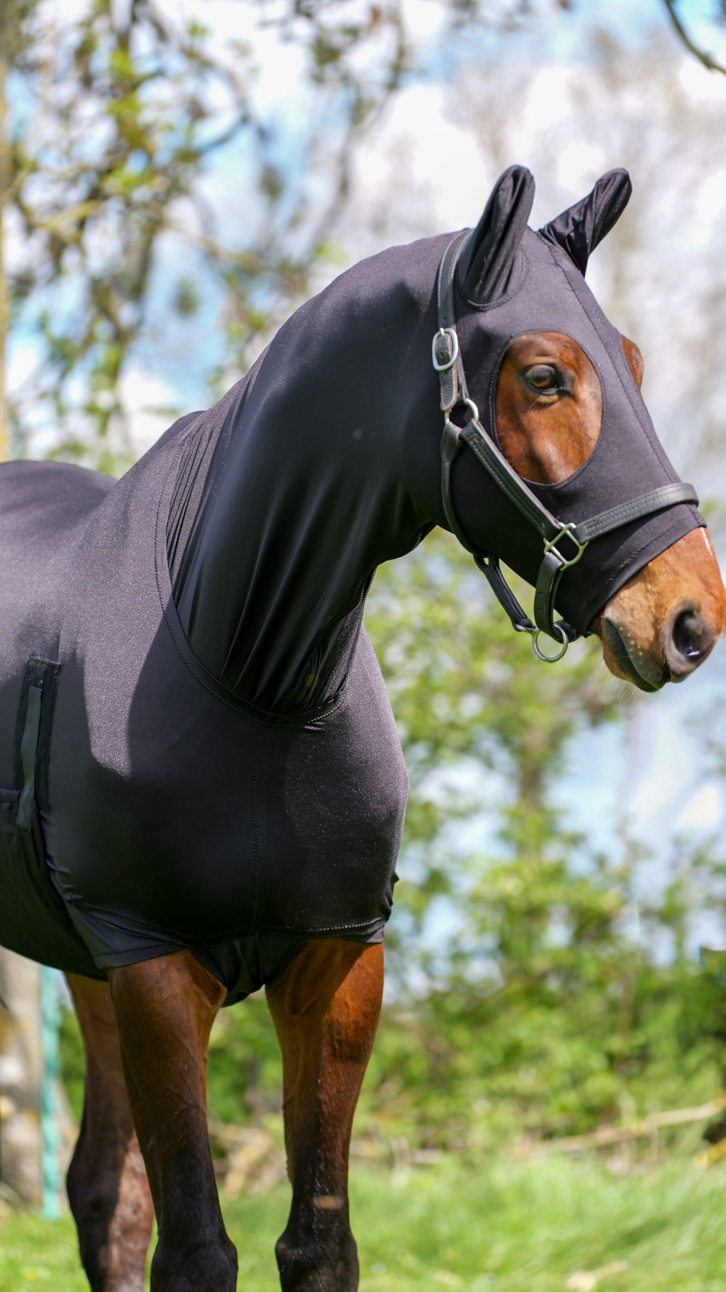 Lycra hood