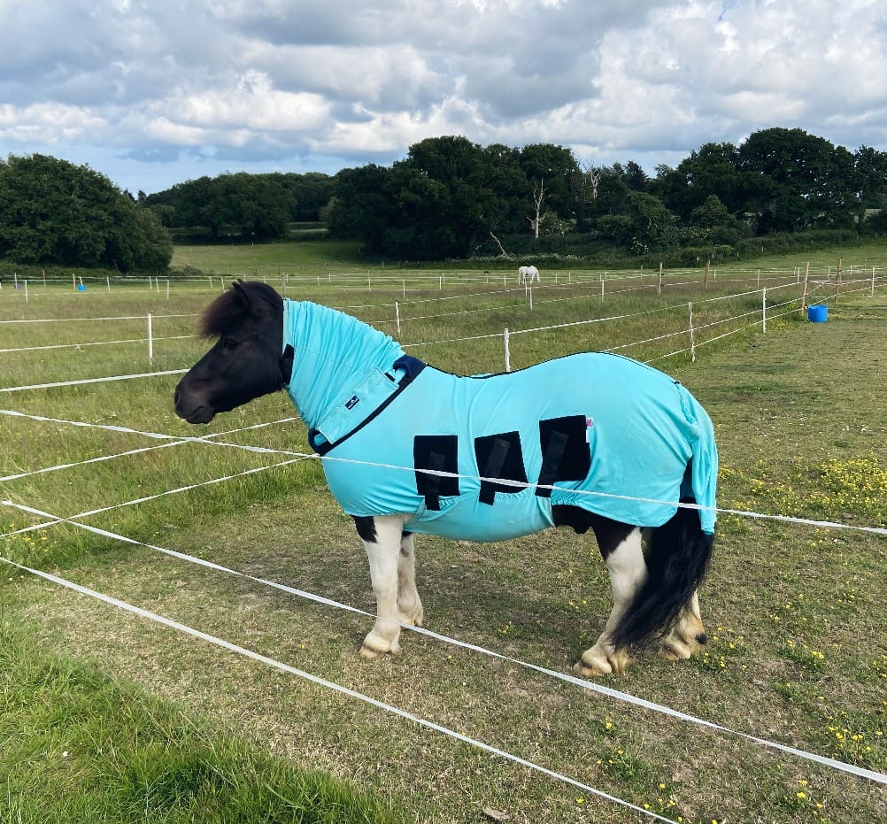 Bug Body Fly Rug