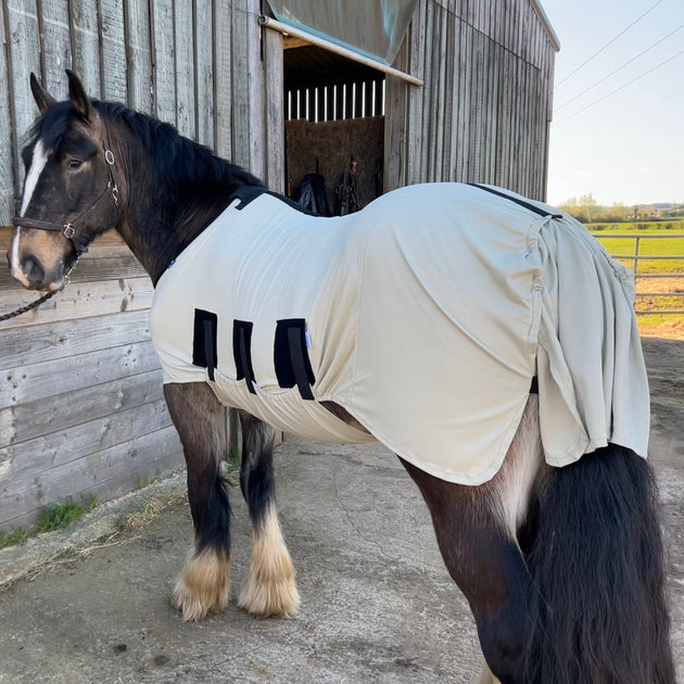 Sweet Itch Horse Rug Snuggy Hoods Snuggy Hoods Ltd