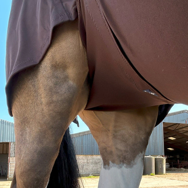 Horse Rug Leg Straps
