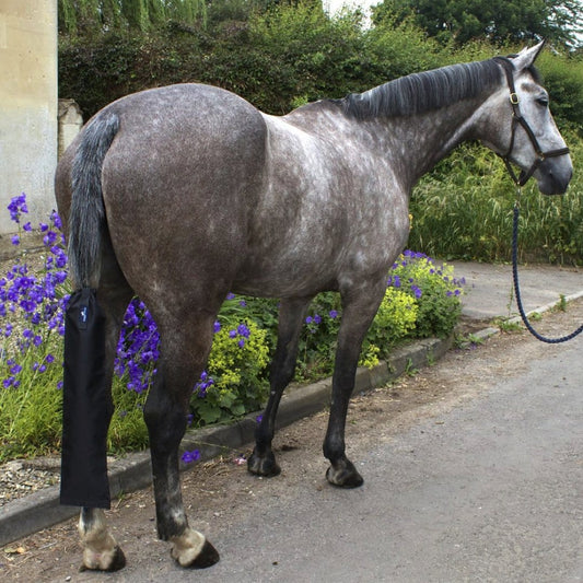 Snuggy Hoods Waterproof Horse Tail Bag - Keep tails in tip top condition during turn out and travelling