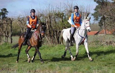 Latest Blog from Endurance Rider Louise Rich