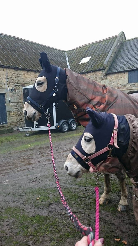 Winter Under Rugs for Horses & Ponies