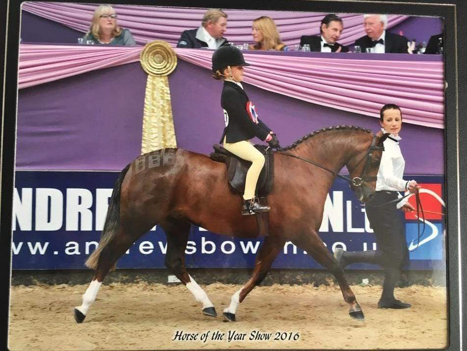 Hunter Pony Lead Rein Of The Year Goes To.....