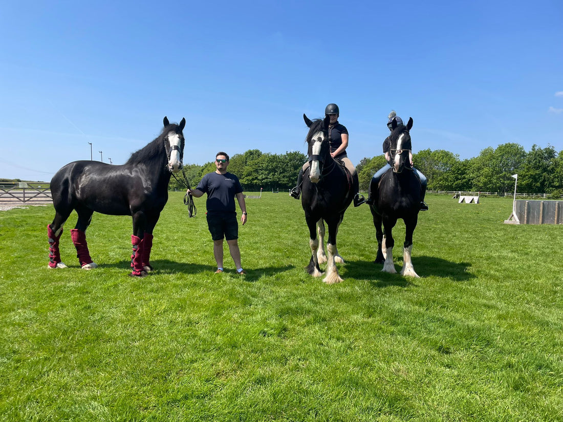 CALLING THE ATTENTION OF - BIG HORSE OWNERS☀️