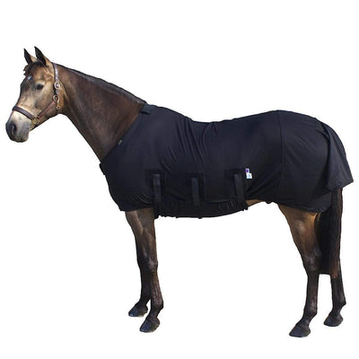 Underwear For Horses: The Best Rugs To Stop Rubbing