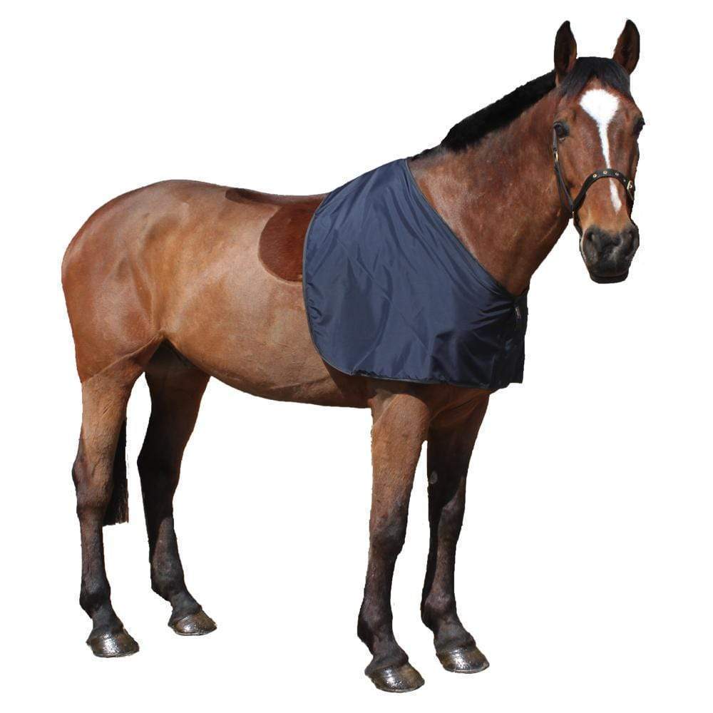 Harrison Howard Horse Shoulder Guard - Anti-Rub Bib Chest Protector Regal Purple Size M