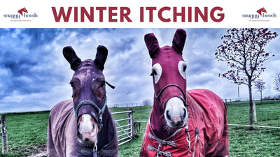 Horses Itching in Autumn/Winter - Help to Manage
