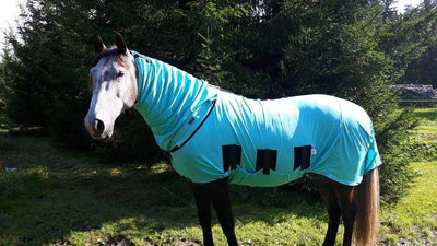 Prepare for Spring with the Bug Body Fly Rug!
