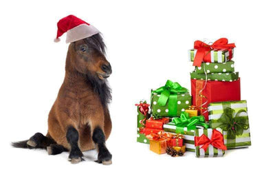 The Perfect Horsey Christmas Gifts