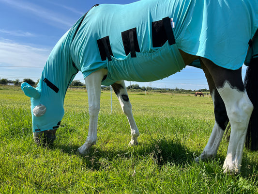 What Is Sweet Itch?? Symptoms And Treatments For Summer Itching In Horses