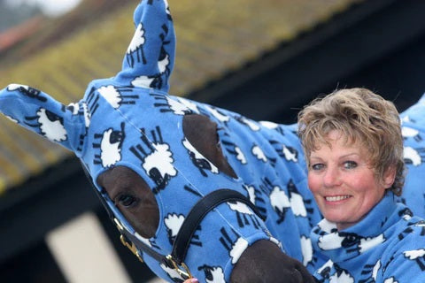 Blue Sheep Fleece Hoods & Rugs - Now available - PRE ORDER