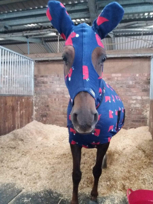 Snuggy Hoods Sponsored Rider - Natalie Povey's Latest Blog