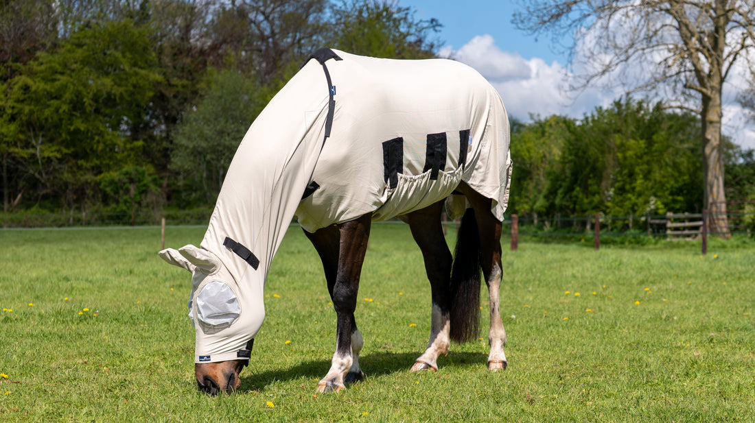 Do You Still Need a Fly Rug in a Heatwave?