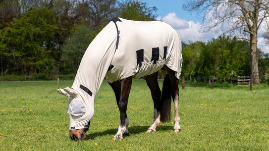 Do You Still Need a Fly Rug in a Heatwave?