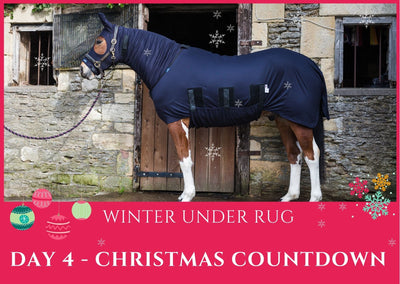 🌟 DAY 4 - Christmas Count Down - Winter Under Rug