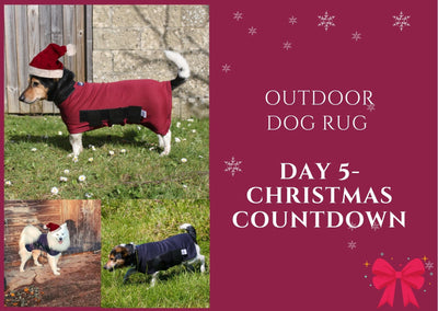 🌟 DAY 5 - Christmas Count Down - Outdoor Dog Rug