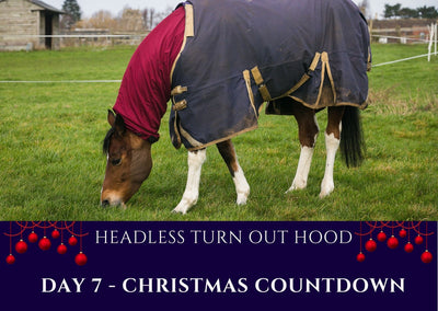 DAY 7 - Christmas Count Down - Headless Turn Out Hood