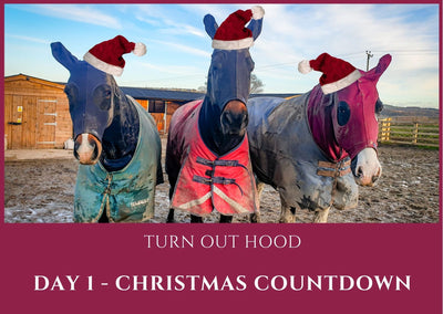 🌟 DAY 1 - Christmas Count Down - Turn Out Hood