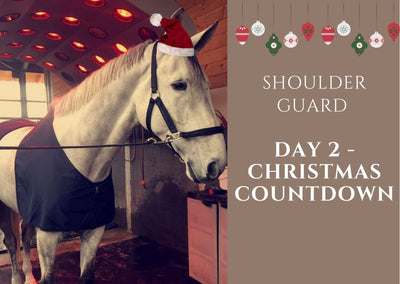 🌟 DAY 2 - Christmas Count Down - Shoulder Guard
