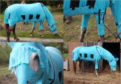 The Best Fly Rugs For Horses: Stop Fly Bites In Horse