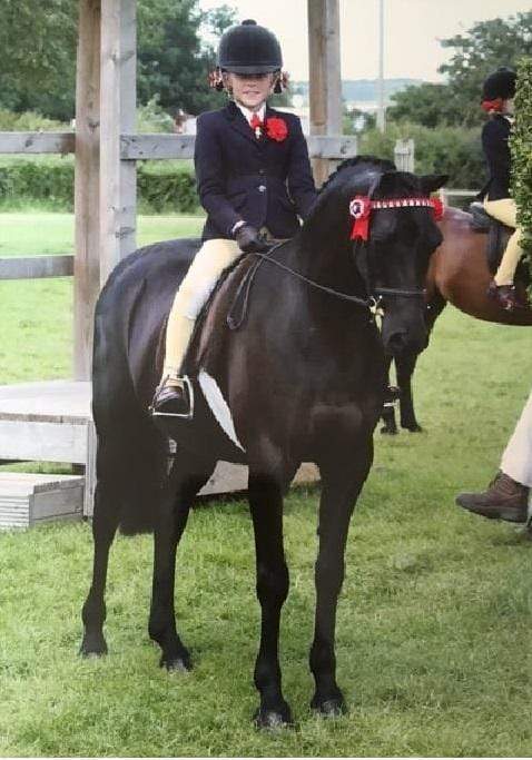 Snuggy Sooty & Janey are off to HOYS