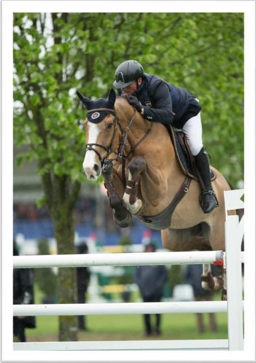 New Blog Post International Show Jumper Guy Williams