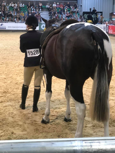 Snuggy Hoods Breeches in action at HOYS