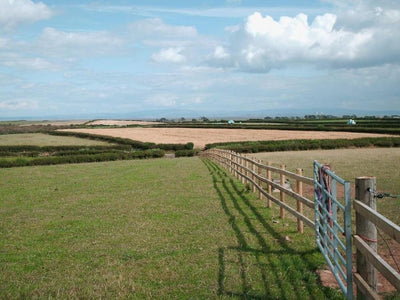 Fencing Your Horse Paddock