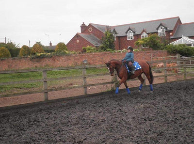 Latest Blog from Para Dressage Rider Natalie Povey
