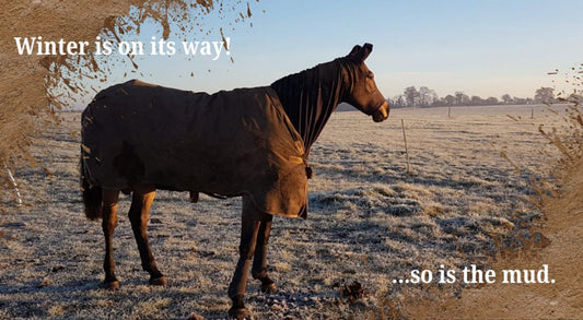 Winter's on Its Way (and It Might Be a Soggy One)