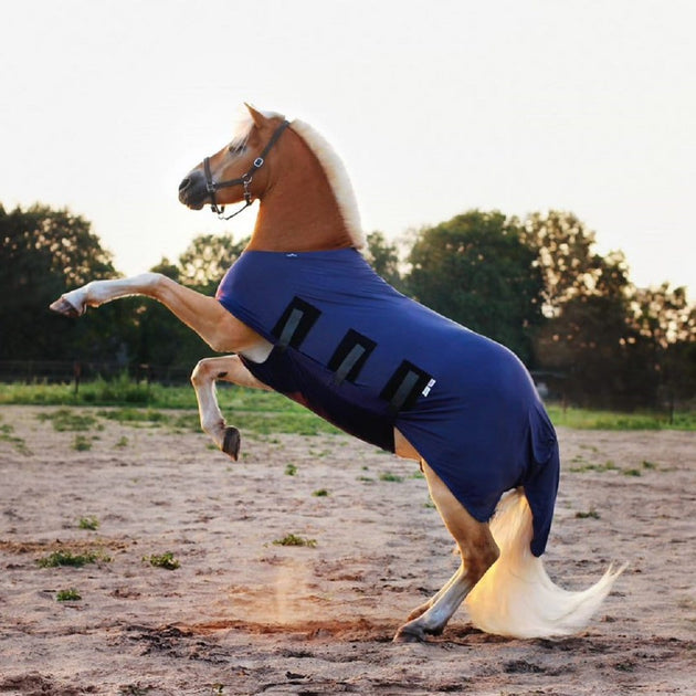 Ultimate Shine Tagged "navy lycra horse hood" Snuggy Hoods Ltd