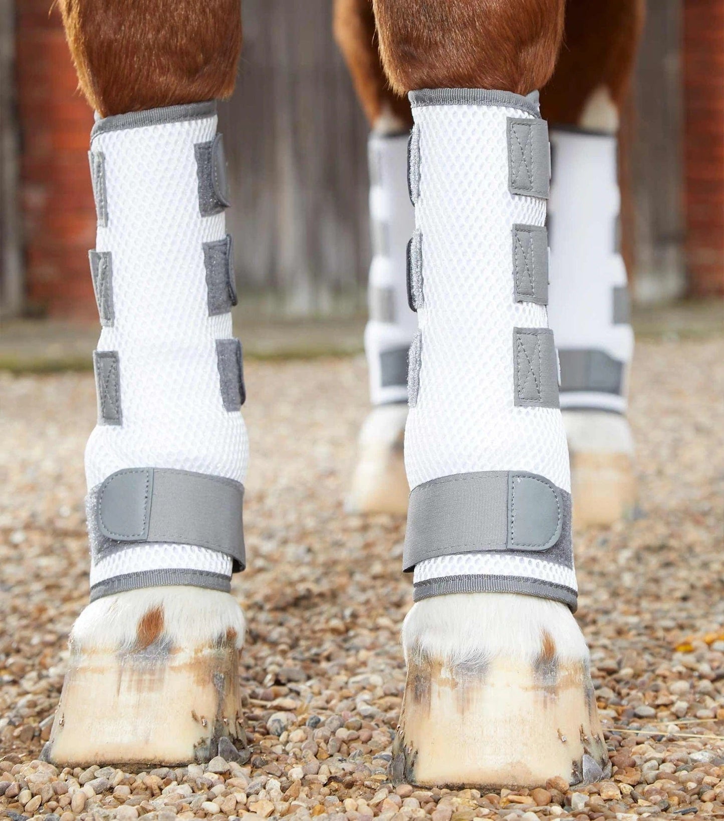 Premier Equine Pro-Tech Bug & Fly Boots