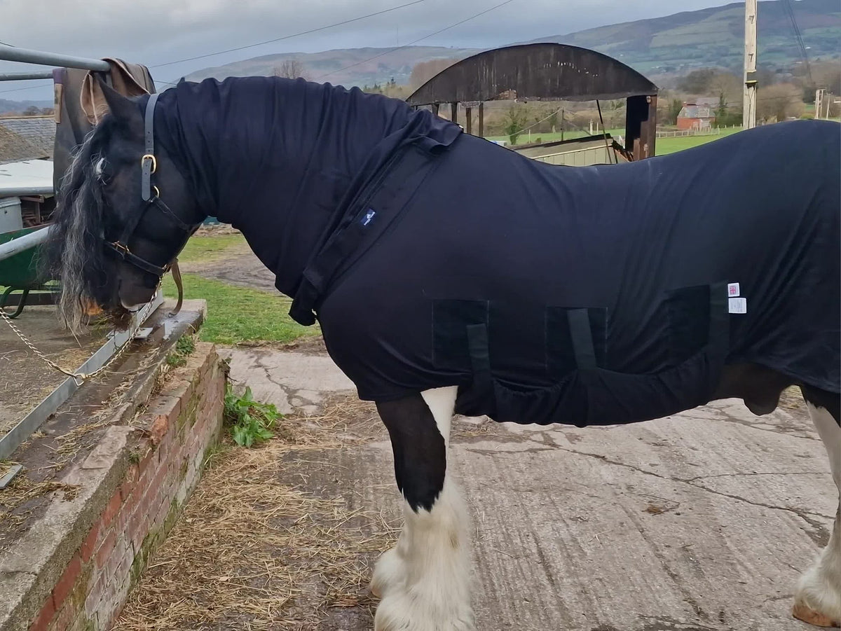 Horse Winter Under Rug with Complete Belly Coverage - Snuggy Hoods ...