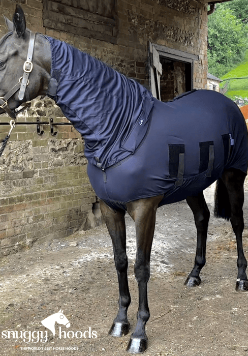 4'3 Base Body  - Navy - tried on a clipped horse, rememnants of clipped hair to inside