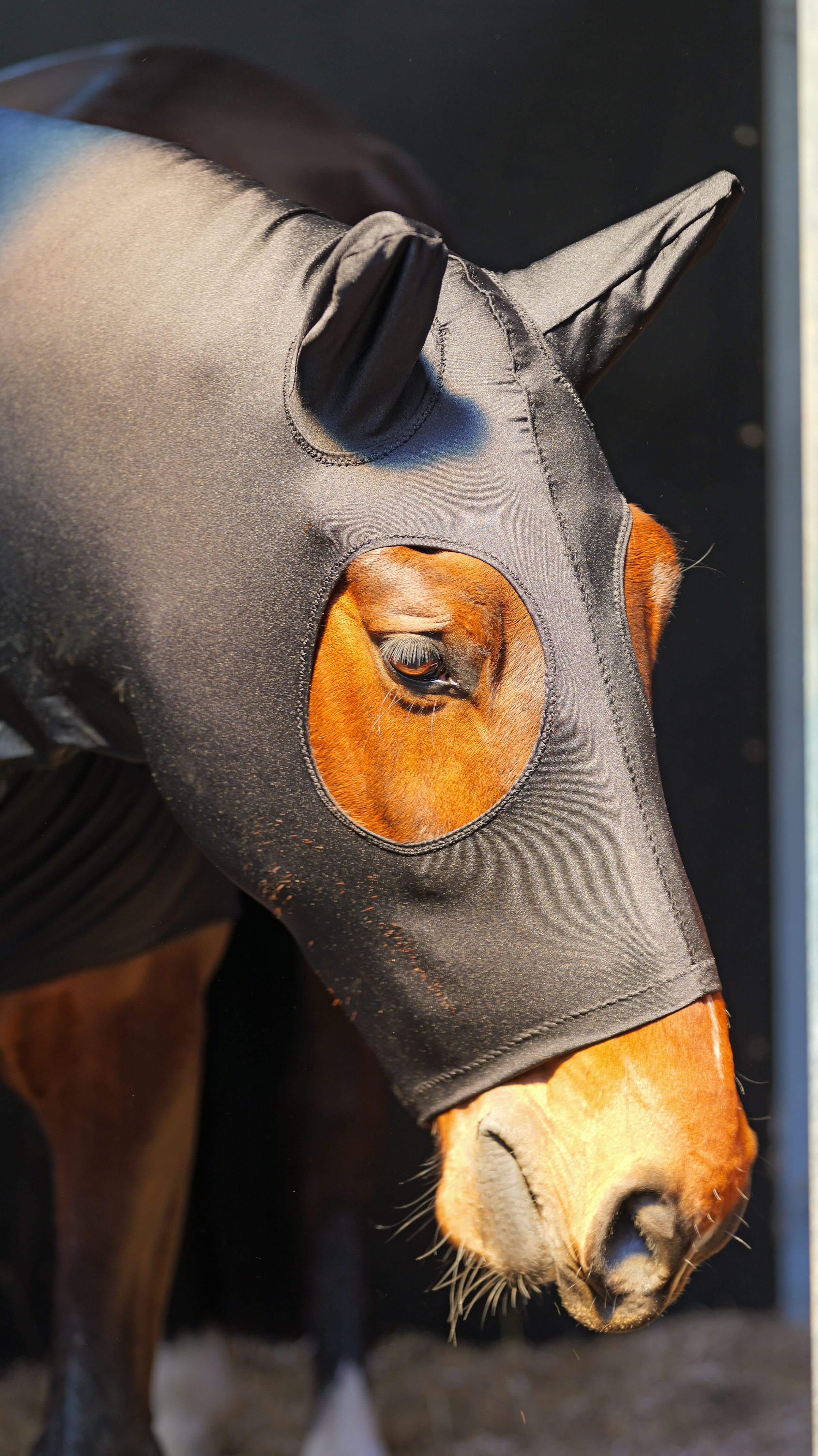 Lycra Paard & Pony Hoed - Snuggy Hoods – Snuggy Hoods Ltd