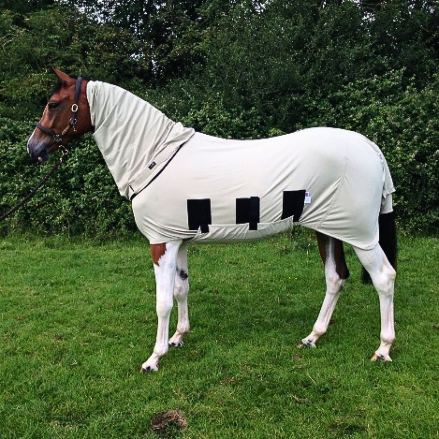 Bug Body Fly Rug