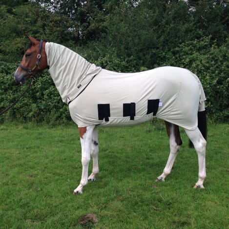 Bug Body Fly Rug