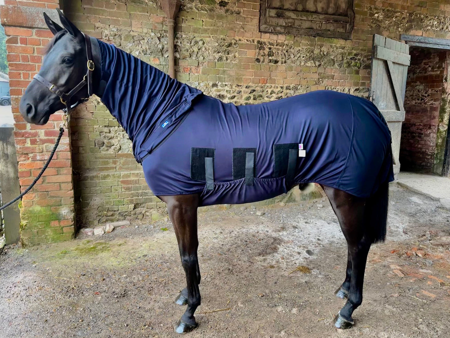 Body Rug Horse Winter Under Rug with Complete Belly Coverage - Snuggy Hoods ...