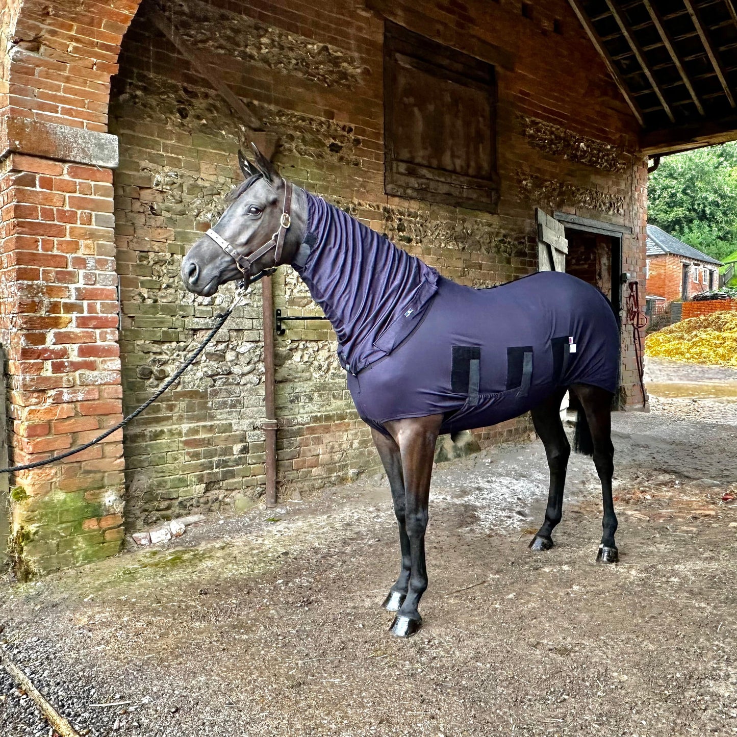 Body Rug Horse Winter Under Rug with Complete Belly Coverage - Snuggy Hoods ...
