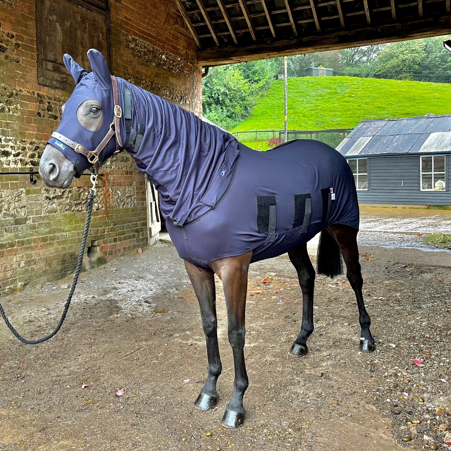 Body Rug Horse Winter Under Rug with Complete Belly Coverage - Snuggy Hoods ...