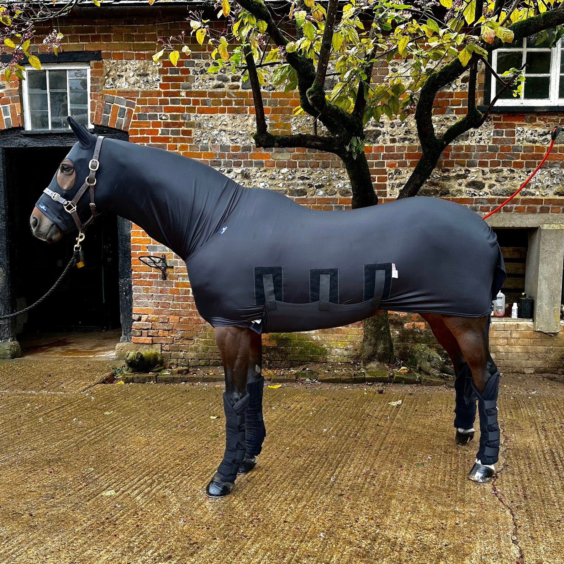 Lycra Horse & Pony Hood Snuggy Hoods Snuggy Hoods Ltd